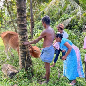 Sarath & Brownie